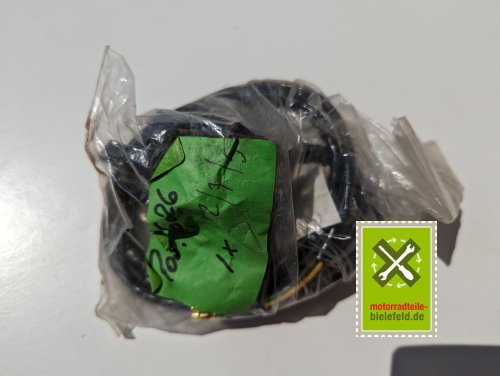 PXL_20240523_111924344